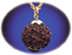 Rudraksha